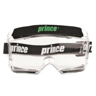Prince Goggle - Quantum
